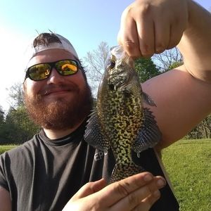 Meet your Posher, Anthony